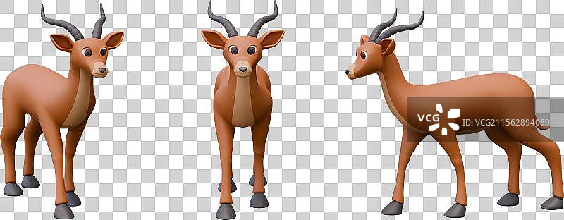 不同姿势的逼真羚羊，食草动物图片素材