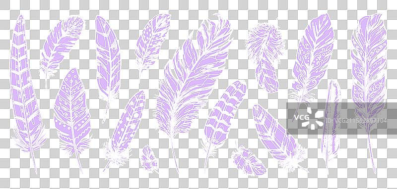 手绘装饰性白色部落羽毛图片素材