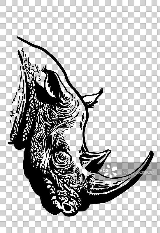 孤立在白色背景上的图形犀牛肖像图片素材