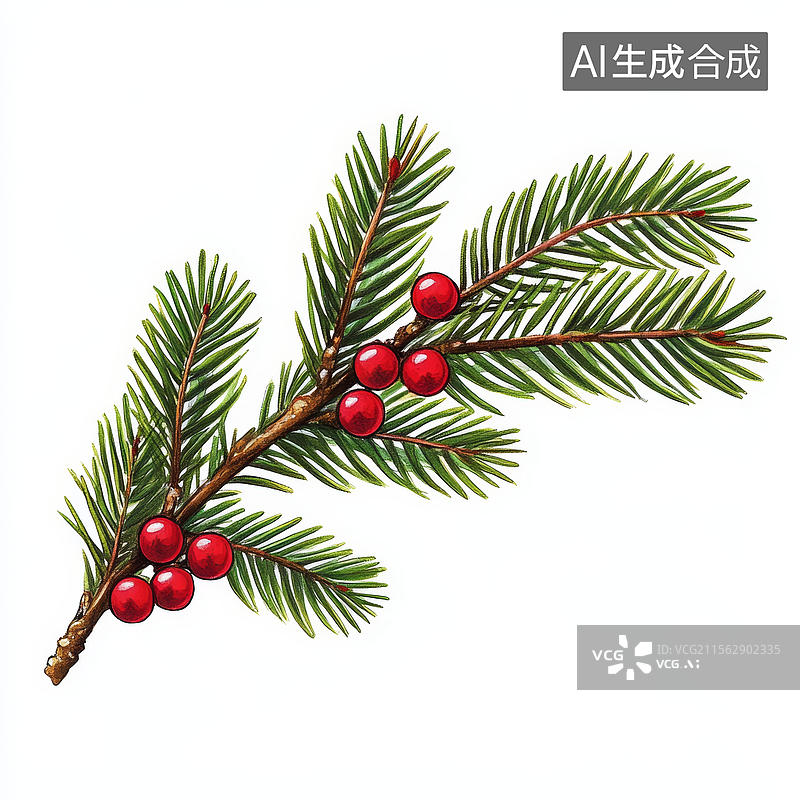 【AI数字艺术】手绘圣诞树枝与红浆果图图片素材