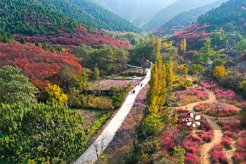 临朐官护山图片素材