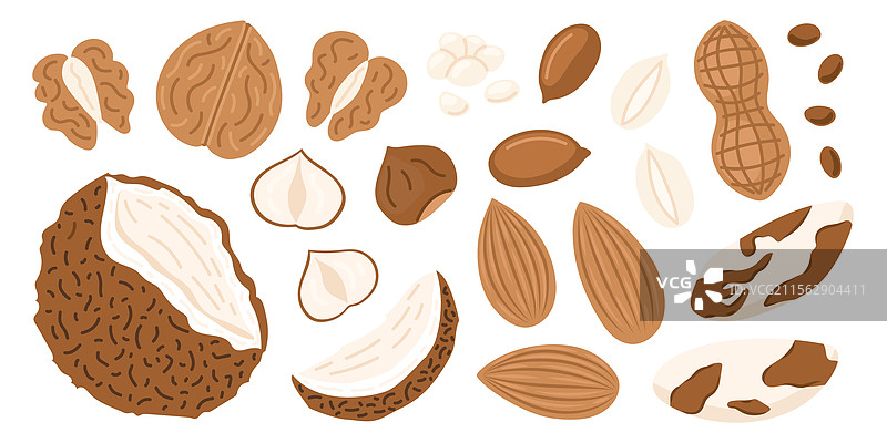 坚果和种子组合：核桃、种子、椰子、杏仁图片素材