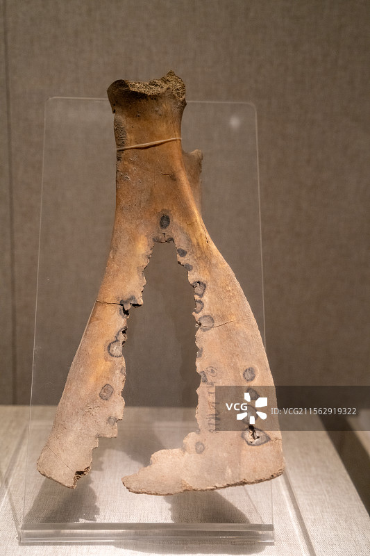 河南博物院甲骨文物展图片素材