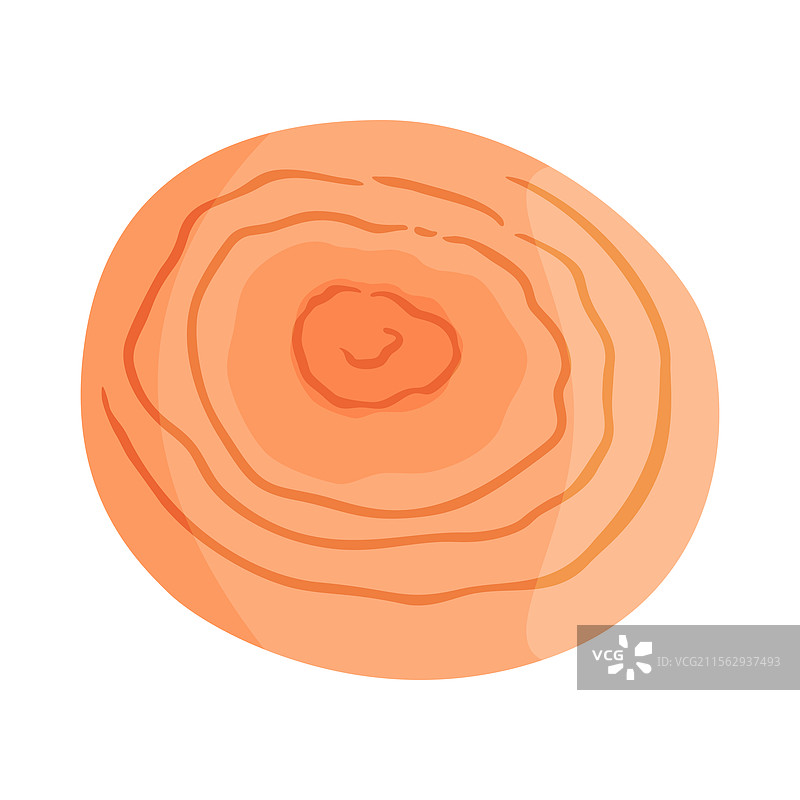 藏红花牛肝菌可食用森林蘑菇图标手绘图片素材