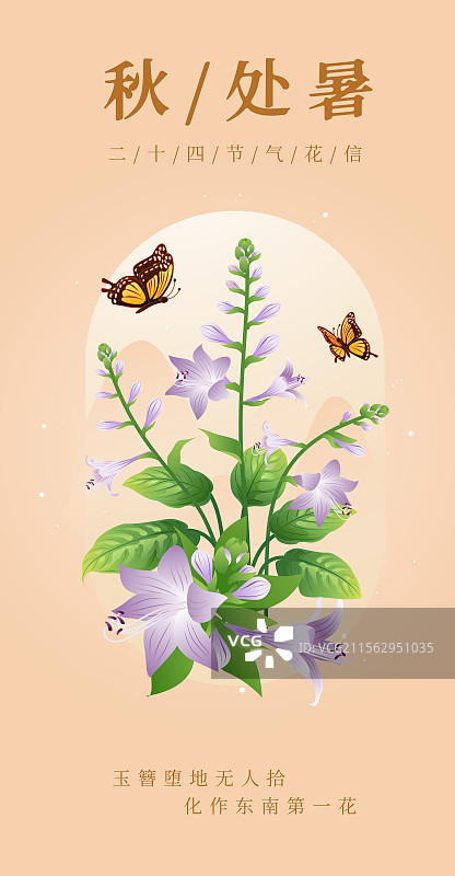 新中式二十四节气处暑 玉簪花 矢量插画海报图片素材