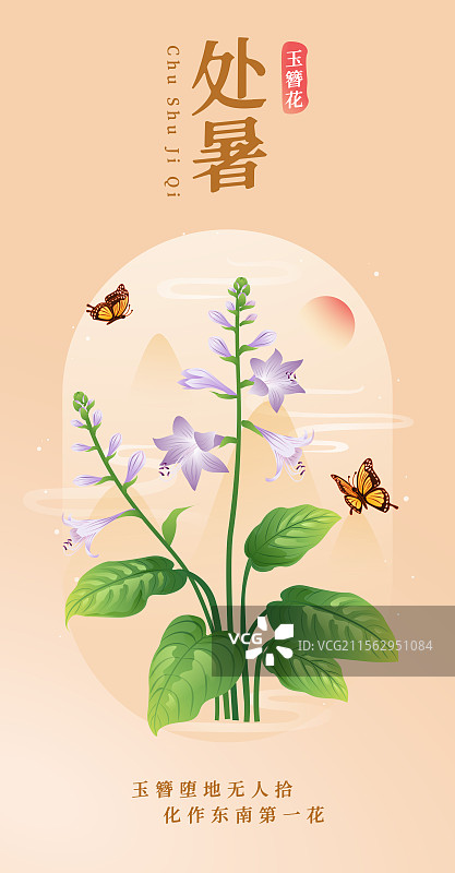 新中式二十四节气处暑 玉簪花 矢量插画海报图片素材