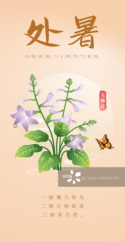 新中式二十四节气处暑 玉簪花 矢量插画海报图片素材