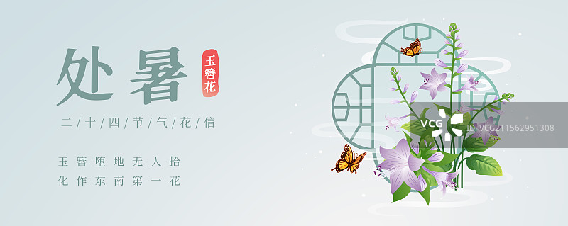 新中式二十四节气处暑 玉簪花 矢量插画海报图片素材