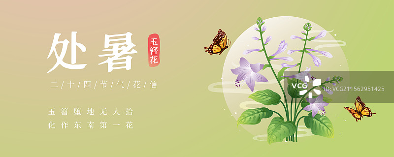 新中式二十四节气处暑 玉簪花 矢量插画海报图片素材