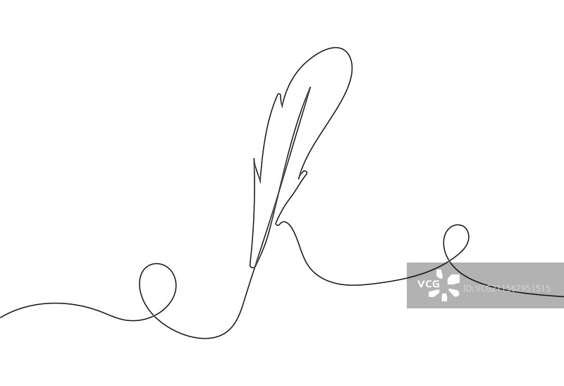 极简风格的连续线条鸟类素描图片素材