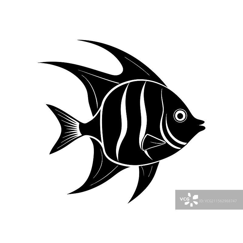 天使鱼海洋剪影艺术与黑色图片素材