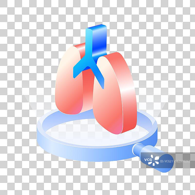 放大镜检查3D立体人体器官心肺免抠元素图片素材