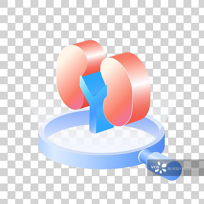 放大镜检查3D立体人体器官肾脏免抠元素图片素材