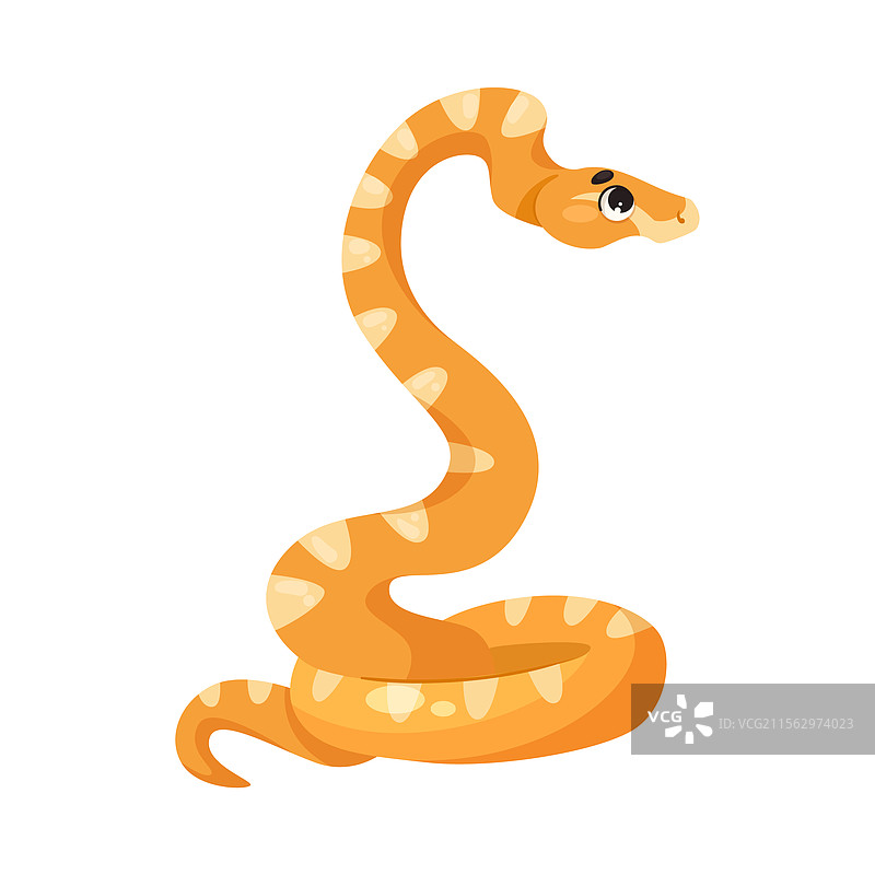 热带野生动物的长尾蛇图片素材