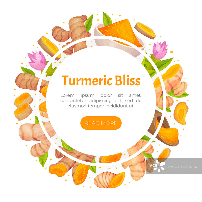 姜黄根自然香料和植物横幅设计图片素材