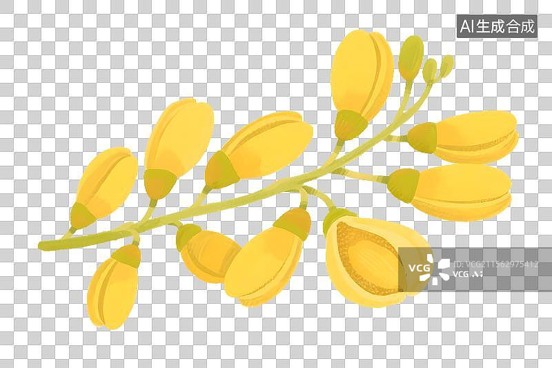 【AI数字艺术】黄色决明子图片素材