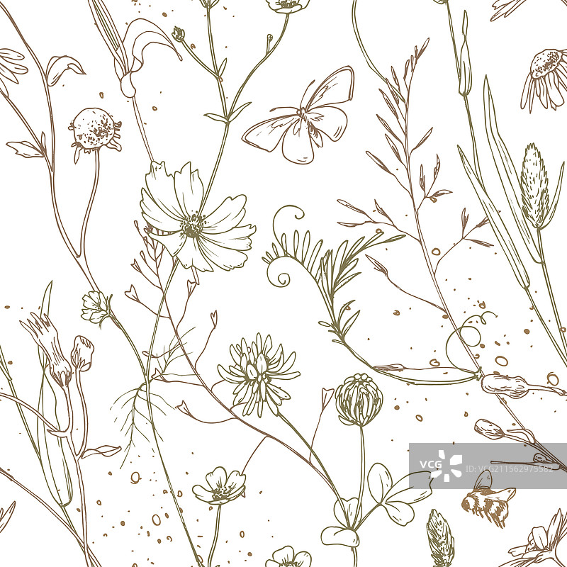 田野草地上的野花和草药，宇宙花图片素材