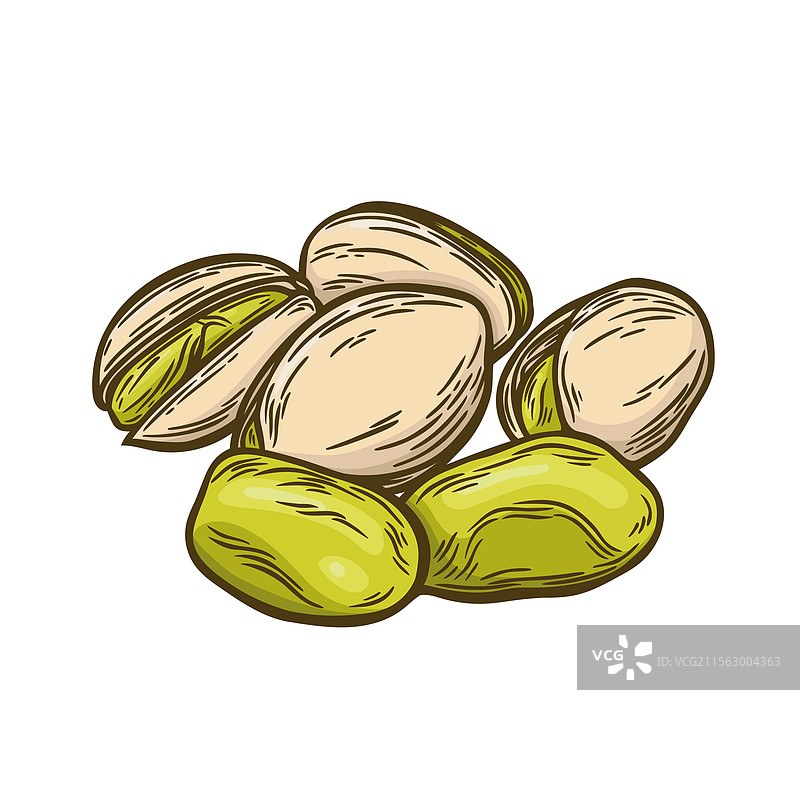 坚果的雕刻风格图像图片素材