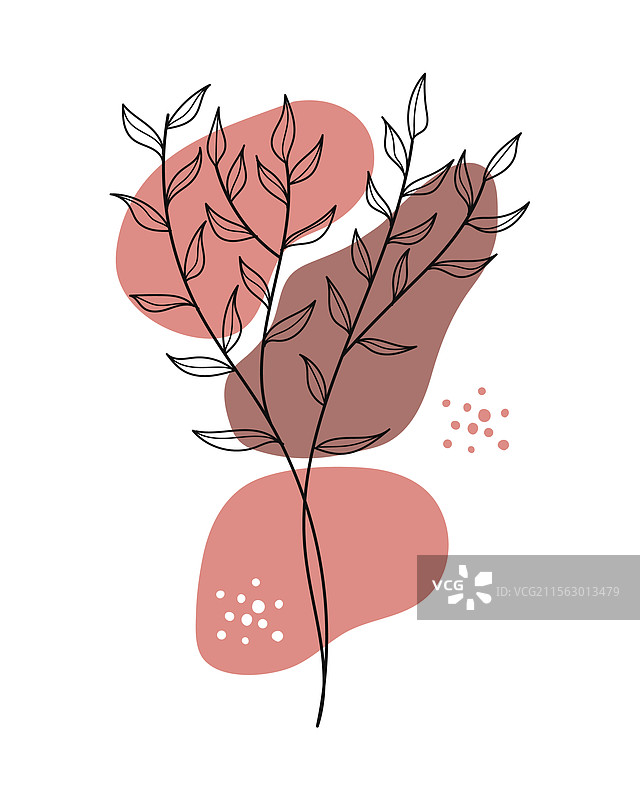 抽象花卉和叶子的植物线条艺术图片素材
