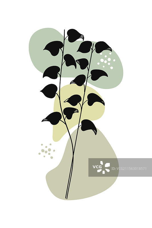 当代手绘的红花楹植物图片素材