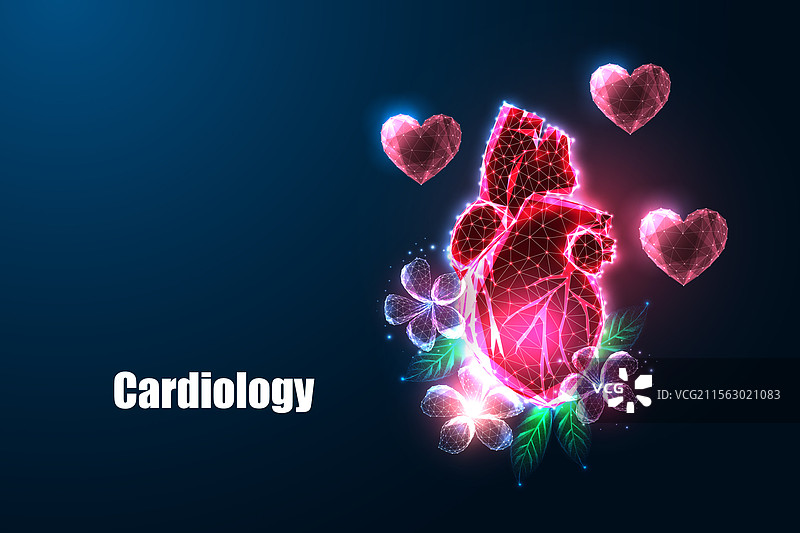 发光的解剖心脏被花朵环绕图片素材