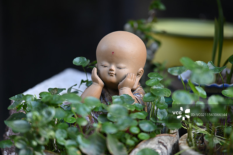 盆栽，小玩偶图片素材