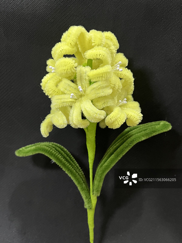 黄色扭扭棒风信子图片素材