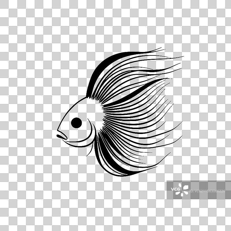天使鱼 - 极简和简单的轮廓图片素材