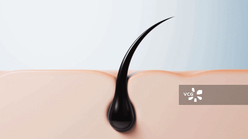 黑色毛发头发与皮肤三维渲染图片素材