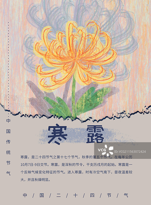 寒露节气机理插画图片素材