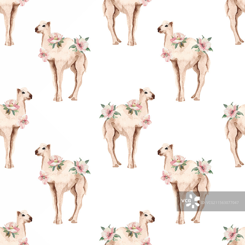 水彩骆驼动物宝宝无缝图案图片素材