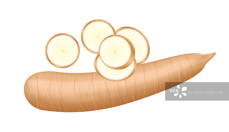 新鲜的生木薯在白色背景上孤立展示图片素材