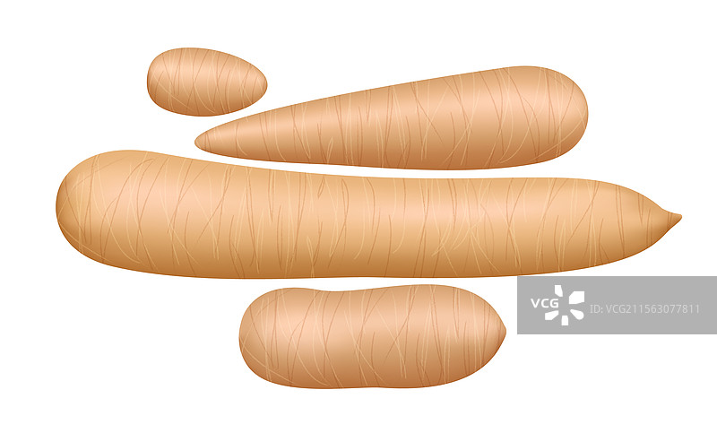 新鲜的木薯根在白色背景上孤立展示图片素材