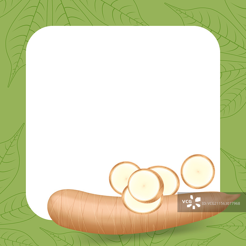 木薯新鲜横幅框架，留白空间供文字使用图片素材