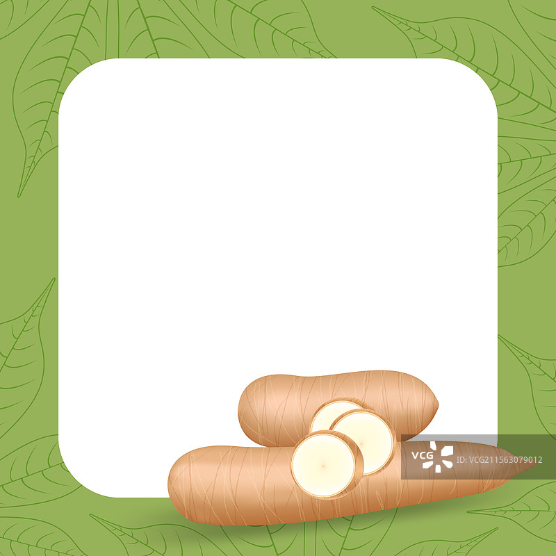木薯新鲜横幅框架，留白空间供文字使用图片素材