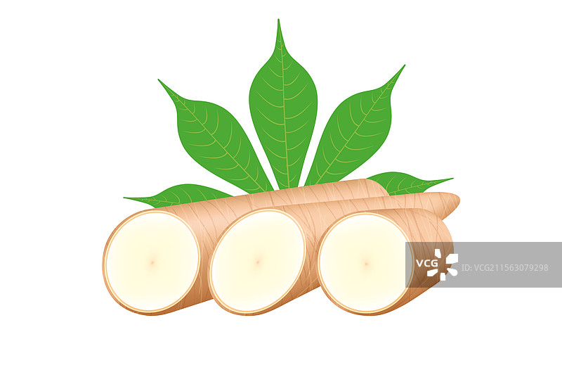 新鲜的木薯和叶子在白色背景上隔离展示图片素材