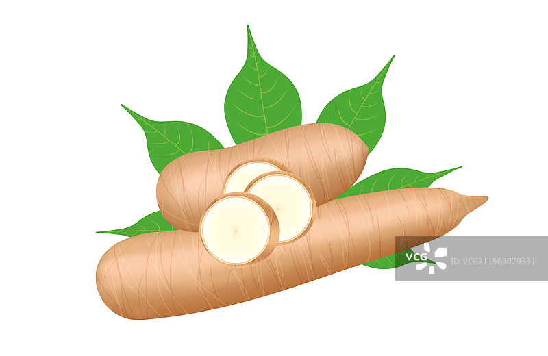 新鲜的木薯和叶子在白色背景上分离展示图片素材