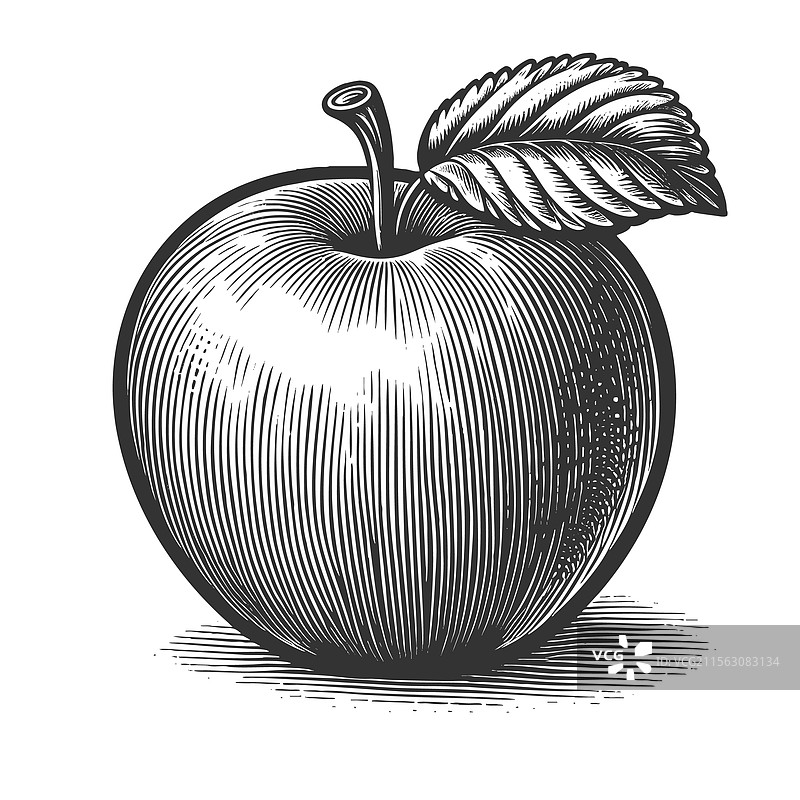 带叶子的苹果图片素材