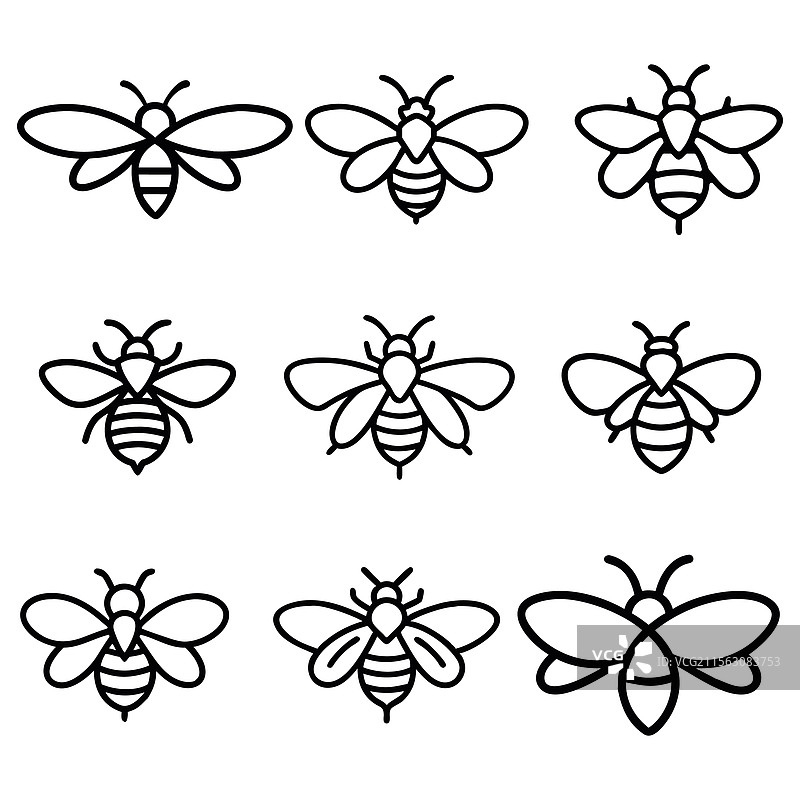 蜜蜂轮廓集合，孤立在白色背景上图片素材