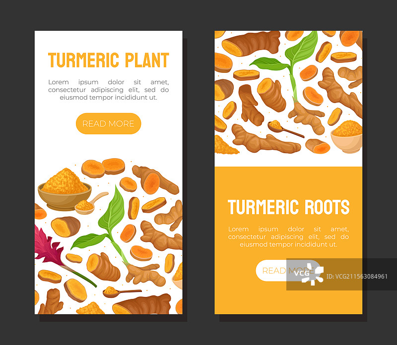 姜黄根自然香料与植物横幅设计图片素材