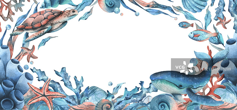 水下世界与海洋动物：海龟和鲸鱼图片素材