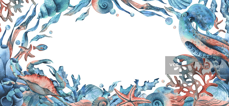 水下世界与海洋动物：章鱼和螃蟹图片素材