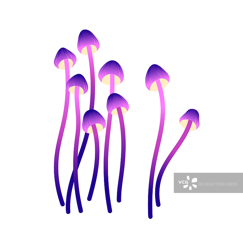 虚假的蜜环菌抽象迷幻牛肝菌图片素材