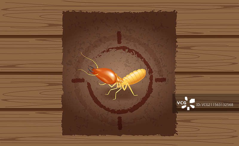 木质棕色墙壁上的白蚁通缉令海报图片素材