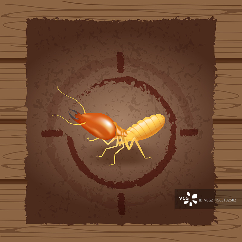 木质棕色墙壁上的白蚁通缉令海报图片素材