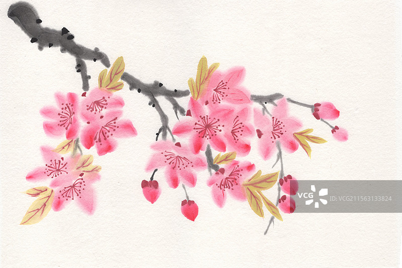 一树桃花水墨国画插画图片素材