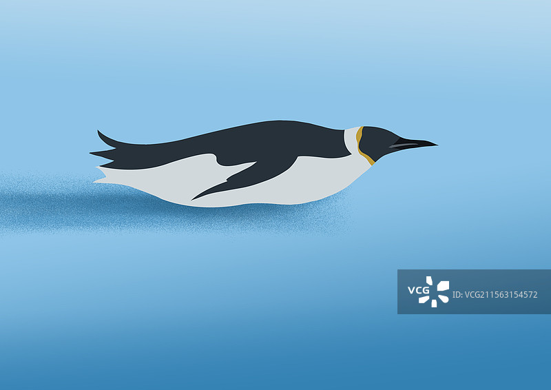 野生保护动物南极企鹅卡通可爱滑行野生资讯卡通插画图片素材