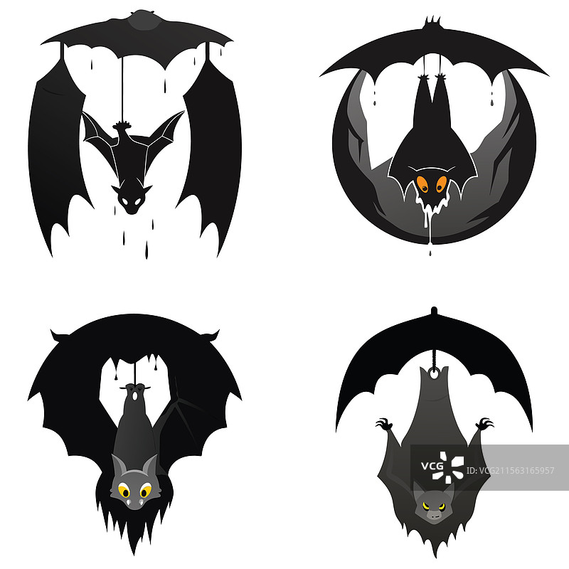 一只倒挂在洞穴中的蝙蝠剪影图片素材