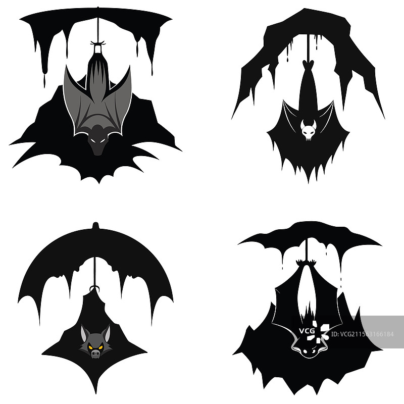 一只倒挂在洞穴中的蝙蝠剪影图片素材