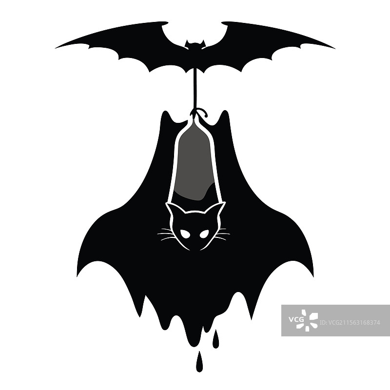 一只倒挂在洞穴中的蝙蝠剪影图片素材